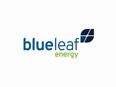 Blueleaf